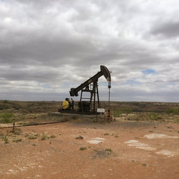 Meet your Posher, William - Picture 16 of 16